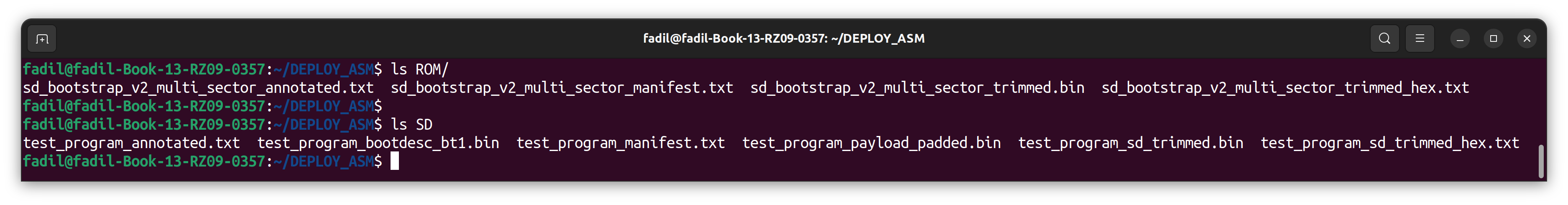 Generated Linux ROM and SD output files from deploy_asm